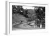 View of Model-T Fords on Redwood Highway - Hopland, CA-Lantern Press-Framed Art Print