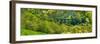 View of Monsal Viaduct in Monsal Dale, Peak District National Park, Derbyshire, England-Frank Fell-Framed Photographic Print