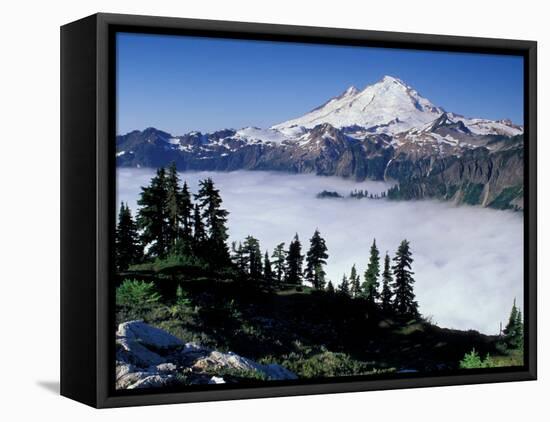 View of Mount Baker from Artist's Point, Snoqualmie National Forest, Washington, USA-William Sutton-Framed Stretched Canvas