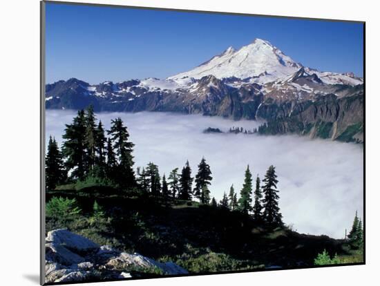 View of Mount Baker from Artist's Point, Snoqualmie National Forest, Washington, USA-William Sutton-Mounted Premium Photographic Print