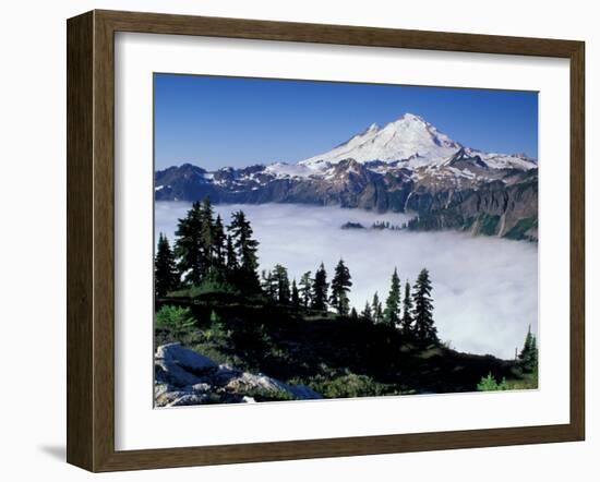 View of Mount Baker from Artist's Point, Snoqualmie National Forest, Washington, USA-William Sutton-Framed Photographic Print