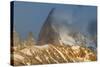 View of Mount Fitzroy Near El Chalten at Sunrise, Patagonia, Argentina, South America-Michael Runkel-Stretched Canvas