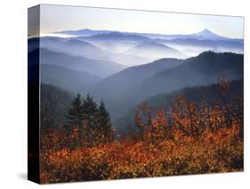 View of Mount Hood with Wild Huckleberry Bushes in Foreground, Columbia River Gorge, Washington-Steve Terrill-Stretched Canvas