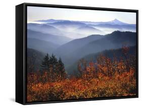 View of Mount Hood with Wild Huckleberry Bushes in Foreground, Columbia River Gorge, Washington-Steve Terrill-Framed Stretched Canvas