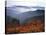 View of Mount Hood with Wild Huckleberry Bushes in Foreground, Columbia River Gorge, Washington-Steve Terrill-Stretched Canvas