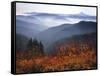 View of Mount Hood with Wild Huckleberry Bushes in Foreground, Columbia River Gorge, Washington-Steve Terrill-Framed Stretched Canvas