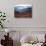 View of Mount Hood with Wild Huckleberry Bushes in Foreground, Columbia River Gorge, Washington-Steve Terrill-Stretched Canvas displayed on a wall