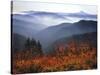 View of Mount Hood with Wild Huckleberry Bushes in Foreground, Columbia River Gorge, Washington-Steve Terrill-Stretched Canvas