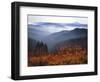 View of Mount Hood with Wild Huckleberry Bushes in Foreground, Columbia River Gorge, Washington-Steve Terrill-Framed Photographic Print