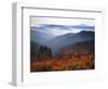 View of Mount Hood with Wild Huckleberry Bushes in Foreground, Columbia River Gorge, Washington-Steve Terrill-Framed Photographic Print