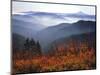 View of Mount Hood with Wild Huckleberry Bushes in Foreground, Columbia River Gorge, Washington-Steve Terrill-Mounted Photographic Print