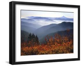 View of Mount Hood with Wild Huckleberry Bushes in Foreground, Columbia River Gorge, Washington-Steve Terrill-Framed Photographic Print