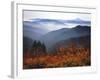 View of Mount Hood with Wild Huckleberry Bushes in Foreground, Columbia River Gorge, Washington-Steve Terrill-Framed Photographic Print