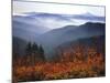 View of Mount Hood with Wild Huckleberry Bushes in Foreground, Columbia River Gorge, Washington-Steve Terrill-Mounted Photographic Print