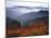 View of Mount Hood with Wild Huckleberry Bushes in Foreground, Columbia River Gorge, Washington-Steve Terrill-Mounted Photographic Print