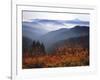 View of Mount Hood with Wild Huckleberry Bushes in Foreground, Columbia River Gorge, Washington-Steve Terrill-Framed Photographic Print