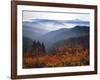 View of Mount Hood with Wild Huckleberry Bushes in Foreground, Columbia River Gorge, Washington-Steve Terrill-Framed Photographic Print