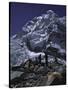 View of Mount Nuptse from Everest Base Camp, Nepal-Michael Brown-Stretched Canvas