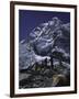 View of Mount Nuptse from Everest Base Camp, Nepal-Michael Brown-Framed Premium Photographic Print