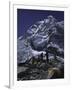 View of Mount Nuptse from Everest Base Camp, Nepal-Michael Brown-Framed Premium Photographic Print