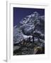 View of Mount Nuptse from Everest Base Camp, Nepal-Michael Brown-Framed Photographic Print