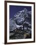 View of Mount Nuptse from Everest Base Camp, Nepal-Michael Brown-Framed Photographic Print