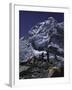 View of Mount Nuptse from Everest Base Camp, Nepal-Michael Brown-Framed Photographic Print