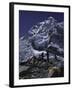 View of Mount Nuptse from Everest Base Camp, Nepal-Michael Brown-Framed Photographic Print