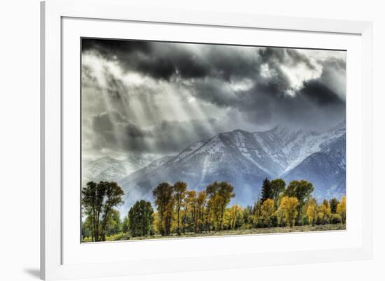 View of mountain range and trees in autumn colour, Grand Teton , Wyoming, USA-Bill Coster-Framed Photographic Print