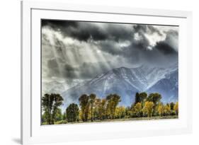 View of mountain range and trees in autumn colour, Grand Teton , Wyoming, USA-Bill Coster-Framed Photographic Print