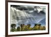 View of mountain range and trees in autumn colour, Grand Teton , Wyoming, USA-Bill Coster-Framed Photographic Print