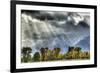 View of mountain range and trees in autumn colour, Grand Teton , Wyoming, USA-Bill Coster-Framed Photographic Print