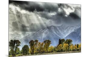 View of mountain range and trees in autumn colour, Grand Teton , Wyoming, USA-Bill Coster-Mounted Photographic Print