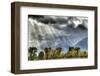 View of mountain range and trees in autumn colour, Grand Teton , Wyoming, USA-Bill Coster-Framed Photographic Print