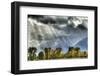 View of mountain range and trees in autumn colour, Grand Teton , Wyoming, USA-Bill Coster-Framed Photographic Print