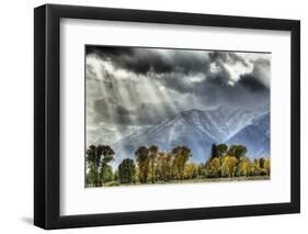 View of mountain range and trees in autumn colour, Grand Teton , Wyoming, USA-Bill Coster-Framed Photographic Print