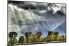 View of mountain range and trees in autumn colour, Grand Teton , Wyoming, USA-Bill Coster-Mounted Photographic Print