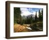 View of Mountain Stream, Glacier National Park, Montana, USA-Adam Jones-Framed Photographic Print