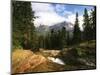 View of Mountain Stream, Glacier National Park, Montana, USA-Adam Jones-Mounted Photographic Print