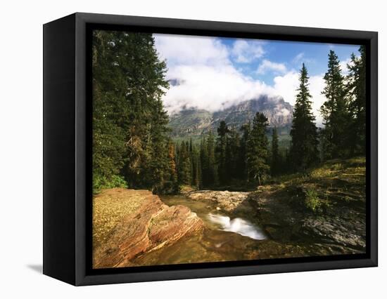 View of Mountain Stream, Glacier National Park, Montana, USA-Adam Jones-Framed Stretched Canvas