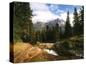 View of Mountain Stream, Glacier National Park, Montana, USA-Adam Jones-Stretched Canvas