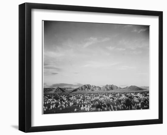 View Of Mts Desert Shrubs Highlighted Fgnd, Death Valley National Monument, California 1933-1942-Ansel Adams-Framed Art Print