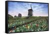 View of multi-coloured fields of tulips and windmills at spring, Berkmeer, Koggenland-Roberto Moiola-Framed Stretched Canvas
