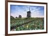 View of multi-coloured fields of tulips and windmills at spring, Berkmeer, Koggenland-Roberto Moiola-Framed Photographic Print