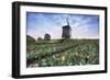 View of multi-coloured fields of tulips and windmills at spring, Berkmeer, Koggenland-Roberto Moiola-Framed Photographic Print