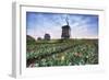 View of multi-coloured fields of tulips and windmills at spring, Berkmeer, Koggenland-Roberto Moiola-Framed Photographic Print