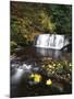 View of Multnomah Creek, Columbia River Gorge, Oregon, USA-Stuart Westmorland-Mounted Photographic Print