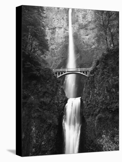 View of Multnomah Falls in Columbia Gorge, Oregon, USA-Walter Bibikow-Stretched Canvas