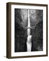 View of Multnomah Falls in Columbia Gorge, Oregon, USA-Walter Bibikow-Framed Photographic Print