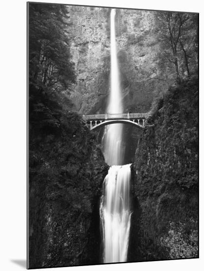 View of Multnomah Falls in Columbia Gorge, Oregon, USA-Walter Bibikow-Mounted Photographic Print